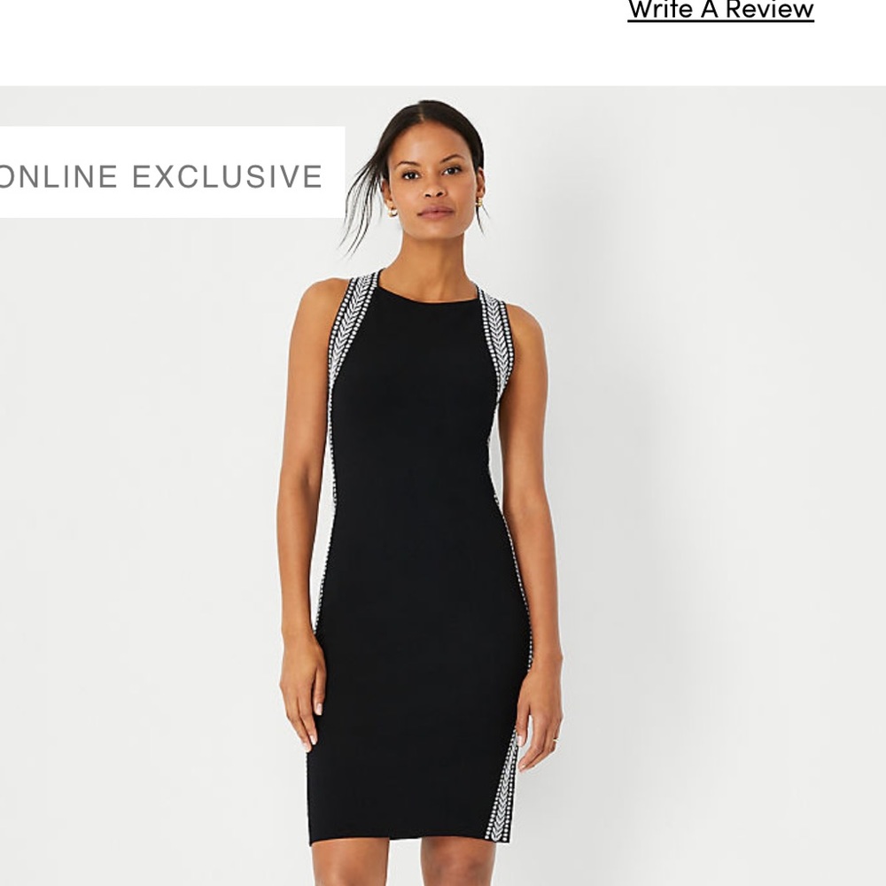 Ann Taylor Dress
